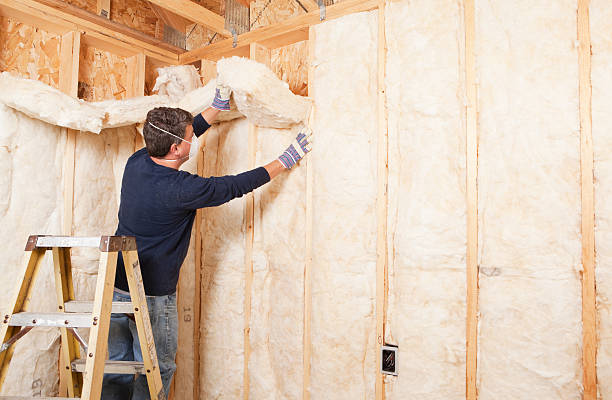 Best Insulation for New Construction  in Rock Springs, NM